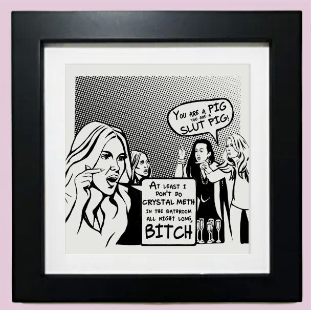 12 X 12 Crystal Meth Slut Pig  RHOBH  Comic